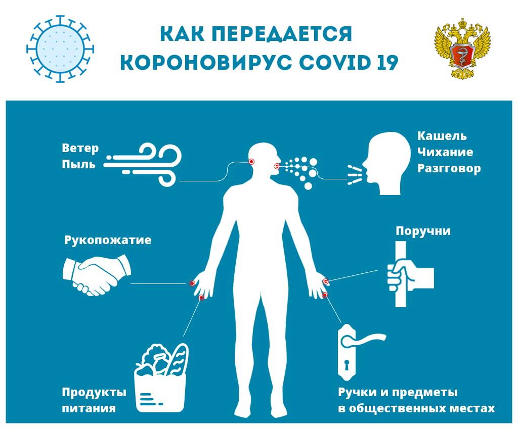 249512594-info-covid19-kak.jpg 249512594-info-covid19-kak.jpg